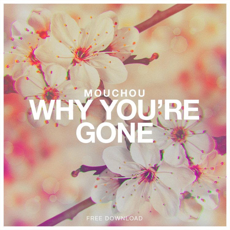 mouchou why you are gone cover